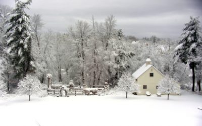 Pam B – New Hampshire