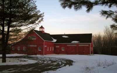 Tony N – Massachusetts